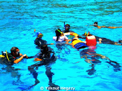 Snorkeling-diving in the red sea by Yakout Hegazy 